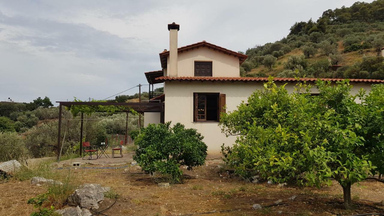 Ample Modern Country Home Nea Epidavros Esterno foto